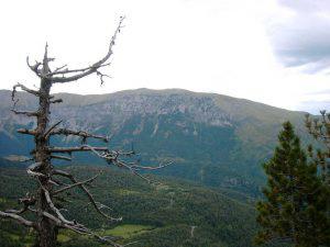 Armeña