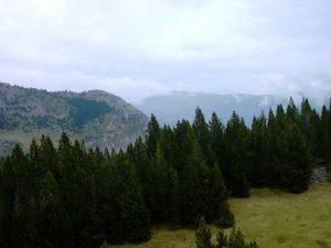 Armeña